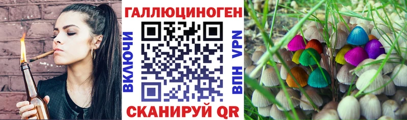 блэк спрут tor  цены наркотик  Усть-Катав  Псилоцибиновые грибы MAGIC MUSHROOMS 