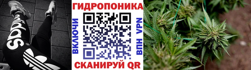 Конопля Bruce Banner  Усть-Катав 